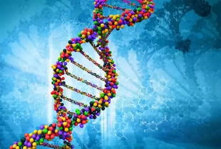 合成生物學時代的生物防御 美國新戰略下的軍事生物科技發展提速