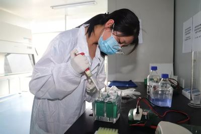 聚焦創新賦能，縣域經濟轉型新引擎 生物技術研發助力突破發展瓶頸