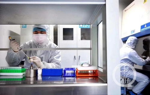深耕生物醫藥創新研發 重慶企業榮獲中國科技創新貢獻獎背后的硬核邏輯