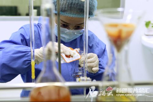一場(chǎng)源自保溫杯的偉大出走——智慧農(nóng)業(yè)與生物技術(shù)釀出的新神話