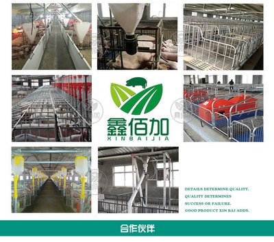 鑫佰加畜牧設備 專業打造犢牛用奶壺，助力高效養殖